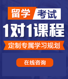 大鸡吧透逼的视频留学考试一对一精品课